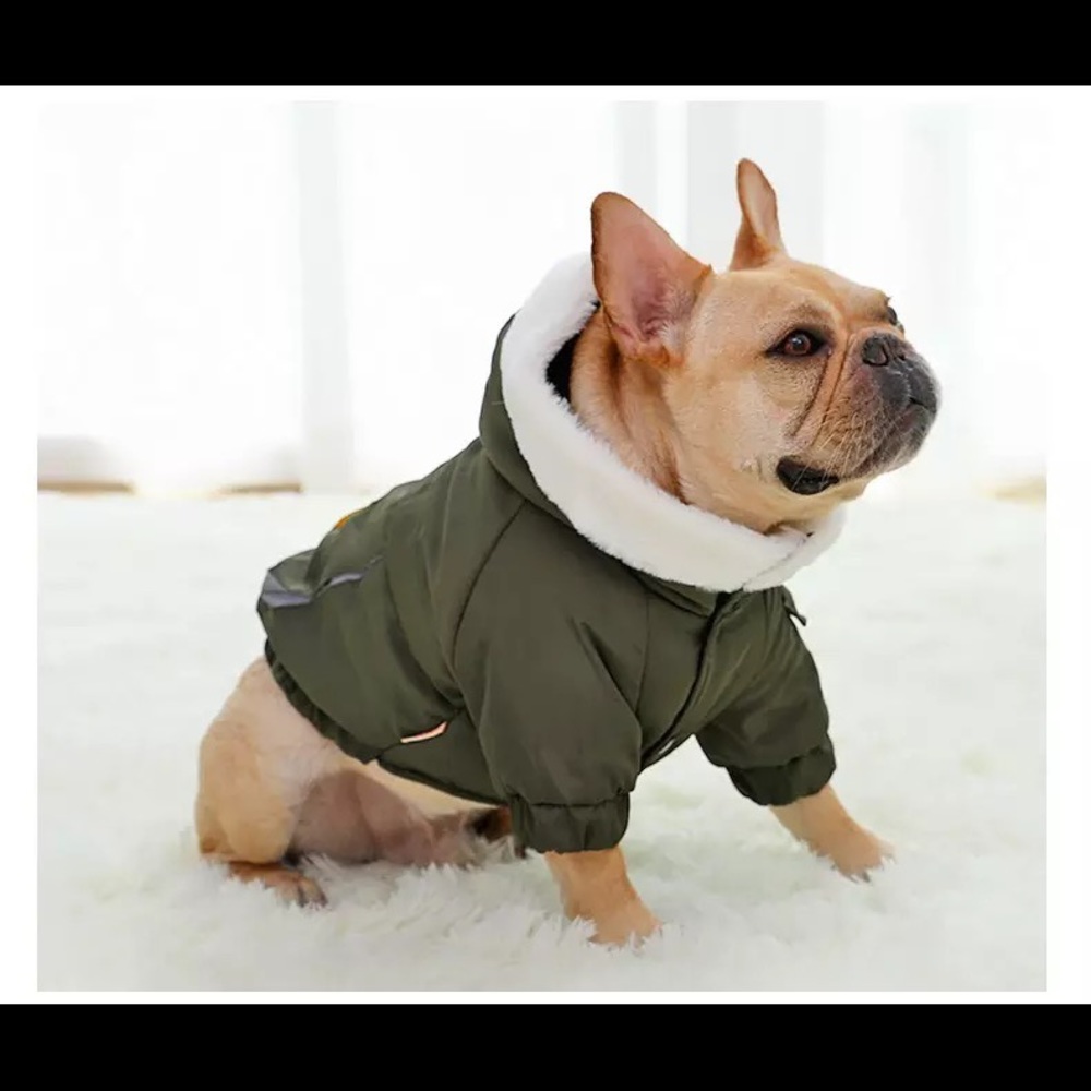 Dog Winter Hoodie Jacket - Picture 3 of 14